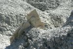 PICTURES/Bisti Badlands in De-Na-Zin Wilderness/t_Odd Rock2.JPG